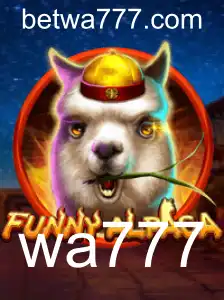 Descubra a Diversão e Aventura de FunnyAlpaca